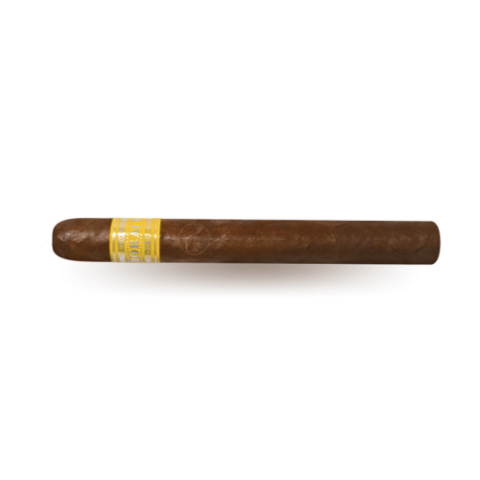 PASIÓN 44