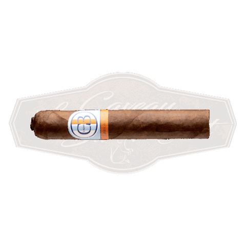 Cédric borboën 20 917k Toro