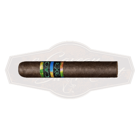 CAO BX3 Robusto