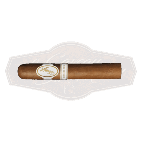 Davidoff Grand Cru Robusto