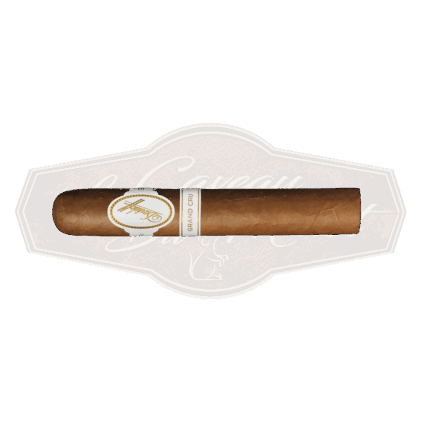 Davidoff Grand Cru Robusto