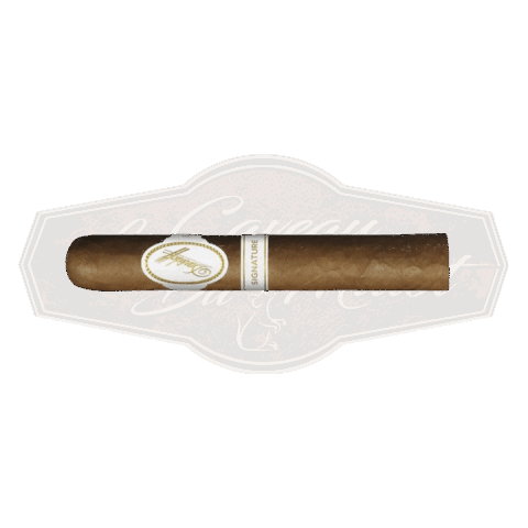 Davidoff Signature 6000 Robusto