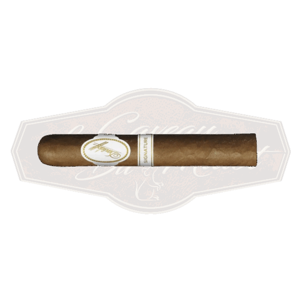 Davidoff Signature 6000 Robusto
