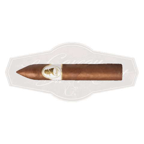 Davidoff Winston Churchill Belicoso