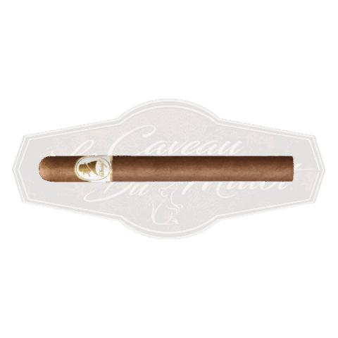 Davidoff Winston Churchill Churchill