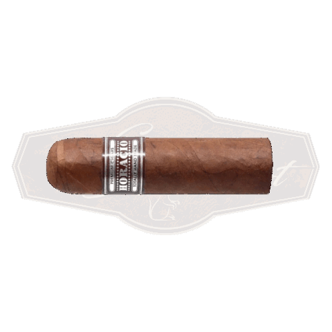 Horacio Classic IV