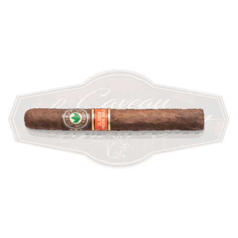 Joya de Nicaragua Classico Medio siglo seleccion B