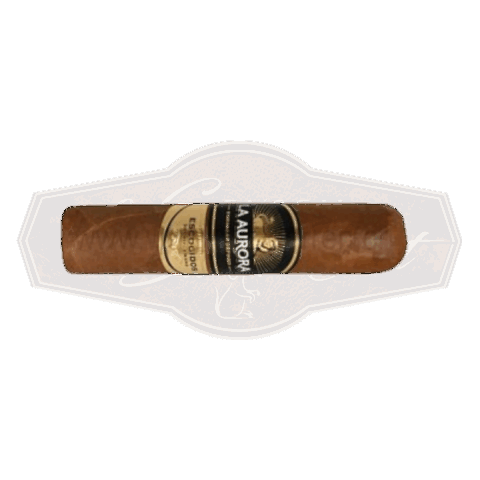 La Aurora Escogidos short Robusto