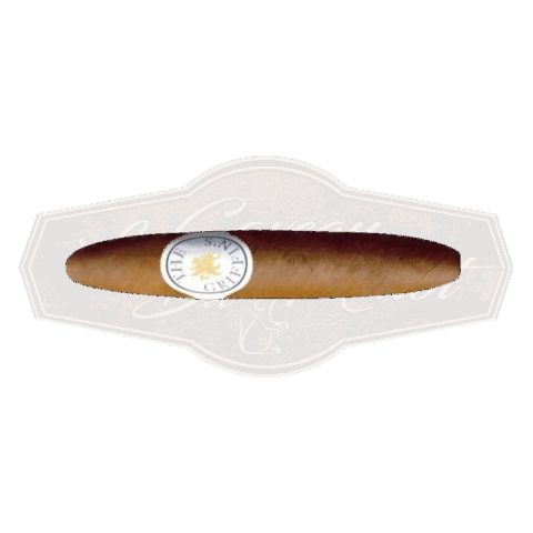The Griffin's Classic Perfecto