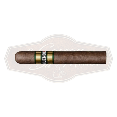 Silencio d'Oro Robusto
