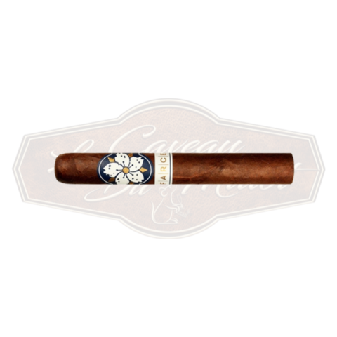 Room 101 Farce Maduro Robusto